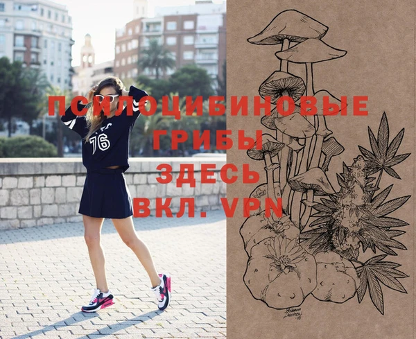 дурь Кулебаки