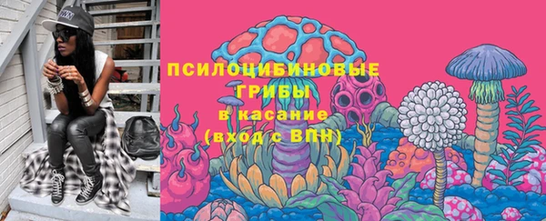 spice Кукмор