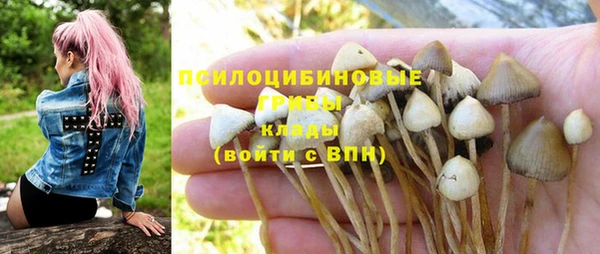 spice Кукмор