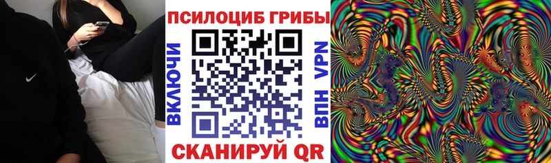 Купить  Карачев  Псилоцибиновые грибы ЛСД 